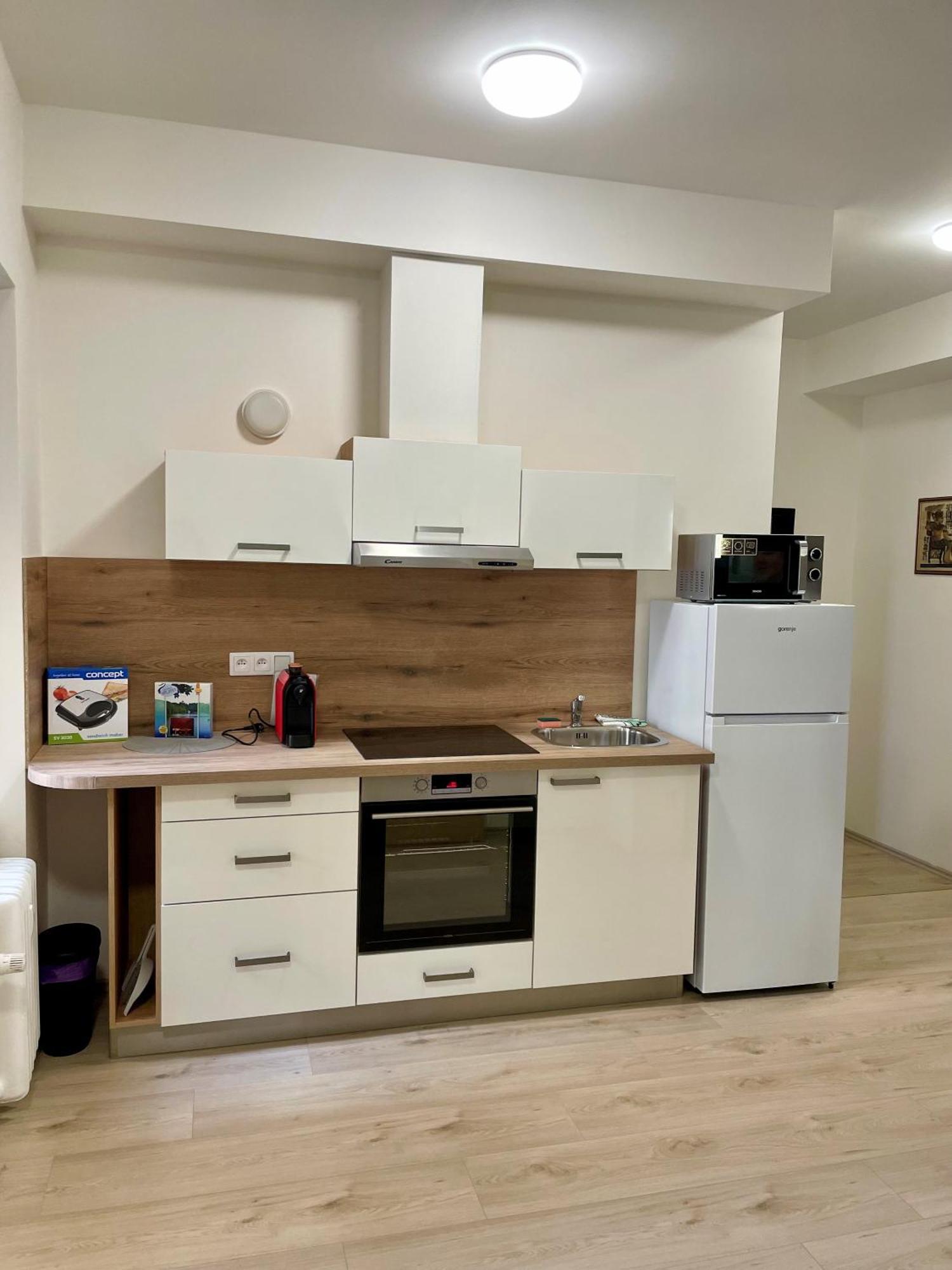 Apartmán Apartman Josefska Brno Exteriér fotografie